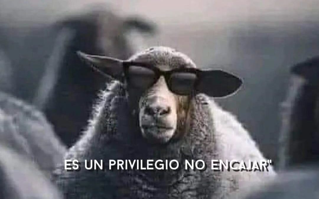 Me gusta la gente rara